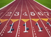 开云体育官网-2026世界杯出线战，法国逆转荷兰，罗德里戈闪耀全场